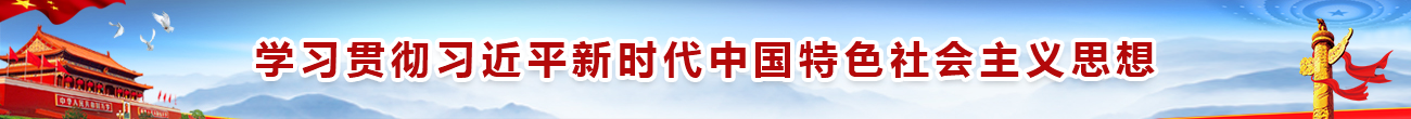 习近平新时代中国特色社会主义思想学习